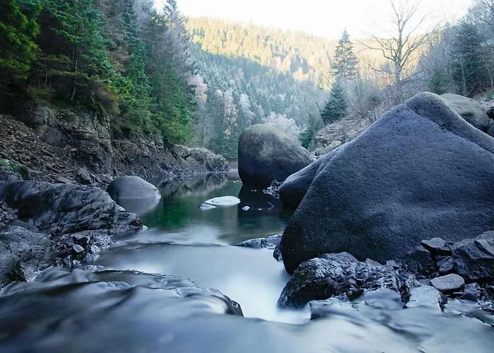 Askania Bed & Breakfast